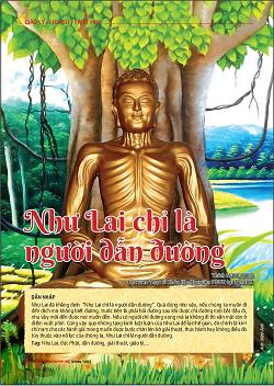 Nhu-Lai-chi-la-nguoi-dan-duong Nhu-Lai-chi-la-nguoi-dan-duong