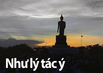 nhu-ly-tac-y