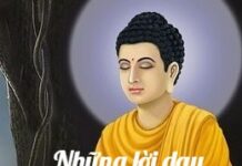 Những Lời Dạy Của Đức Phật về Hòa Bình và Giá Trị Con Người
