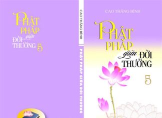 Phật pháp giữa đời thường 5