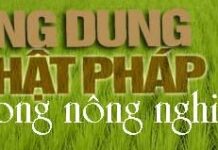 Ứng Dụng Phật Pháp Trong Nông Nghiệp