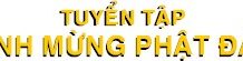 Phật Đản Nhớ Phật