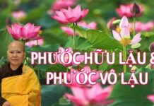 Phước Hữu Lậu Và Phước Vô Lậu