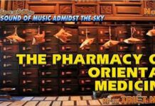 Tiệm Thuốc Bắc | The Oriental Medicine Pharmacy (Song ngữ Vietnamese-English)