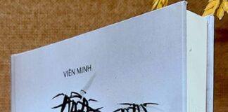 Soi sáng thực tại