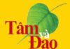 Tâm Và Đạo – Quán Tưởng Về Cuộc Sống Trong Đạo Phật