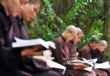 Vai Trò Của Tăng Thân