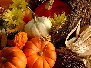 thanksgiving 6