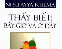 Thấy Biết: Bây Giờ & Ở Đây