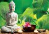 Nhìn trái mà thấy người