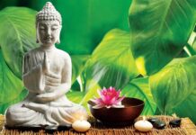 Nhìn trái mà thấy người