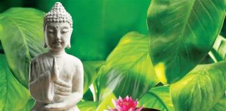 Nhìn trái mà thấy người