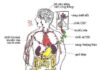 Thiền Và Sự An Lạc Của Tâm Hồn