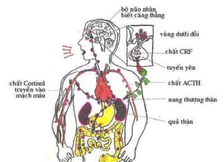 Thiền Và Sự An Lạc Của Tâm Hồn