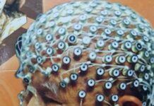 Thiền dưới ánh sáng khoa học