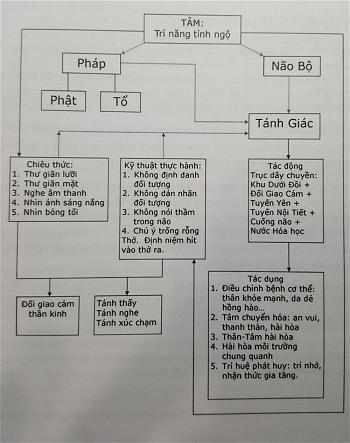 Thiền Dưới Ánh Sáng Khoa Học 5