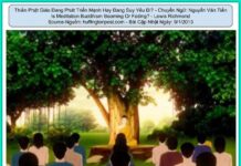 Thiền Phật giáo đang phát triển mạnh hay đang suy yếu đi?
