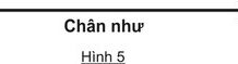 Thiên Thu Trong Khoảng Khắc