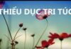 Thiểu Dục Tri Túc – Một Góc Nhìn Về Chủ Nghĩa Tiêu Thụ Và Bảo Vệ Môi Trường Của Phật Giáo