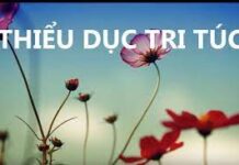 Thiểu Dục Tri Túc – Một Góc Nhìn Về Chủ Nghĩa Tiêu Thụ Và Bảo Vệ Môi Trường Của Phật Giáo
