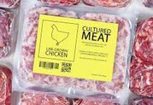 Người Tu Thiền Vipassana Có Nên Ăn Thịt Nuôi Cấy Trong Phòng Thí Nghiệm Không? Should Vipassana Meditators Eat Lab-grown Meat