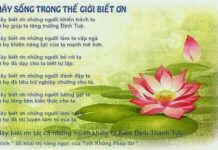 Những Vòng Tròn