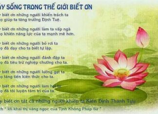 Những Vòng Tròn