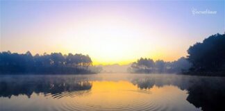 Tâm Không Động, Không Sầu