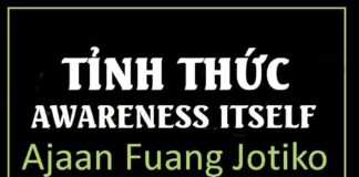 Tỉnh Thức Awareness Itself (sách)
