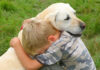 Tình thương và sự hóa giải