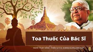 Toa Thuốc Của Bác Sĩ