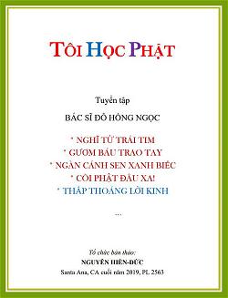 Tôi Học Phật - Đỗ Hồng Ngọc