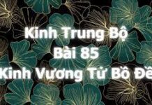 Trung Bộ Kinh – Bài Kinh Số 85 – Bồ Đề Vương Tử