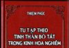 Tu Tập Theo Tinh Thần Bồ Tát Trong Kinh Hoa Nghiêm (Sách Ebook Song Ngữ Vietnamese-English PDF)