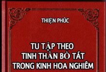 Tu Tập Theo Tinh Thần Bồ Tát Trong Kinh Hoa Nghiêm (Sách Ebook Song Ngữ Vietnamese-English PDF)