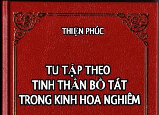Tu Tập Theo Tinh Thần Bồ Tát Trong Kinh Hoa Nghiêm (Sách Ebook Song Ngữ Vietnamese-English PDF)