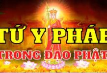 Ý Nghĩa Căn Bản Trong Giáo Pháp Tứ Y