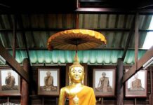 Tuệ Phát Triển Định