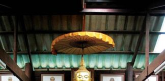 Tuệ Phát Triển Định