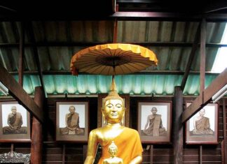 Tuệ Phát Triển Định