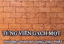 Từng Viên Gạch Một – Phương pháp áp dụng Đạo Phật vào trong cuộc sống