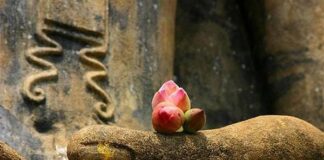 Tứ vô Sở Úy