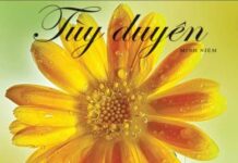 Tùy Duyên