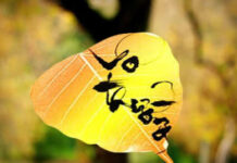 Thường và vô thường (phần 2)
