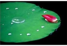 Thường và vô thường