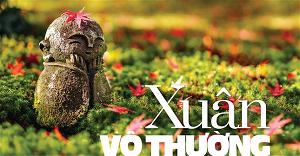xuan vo thuong