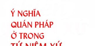 Ý Nghĩa “Quán Pháp” Ở Trong Tứ Niệm Xứ