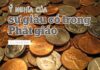 Ý Nghĩa Của Sự Giàu Có Trong Phật Giáo