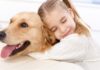 Quả báo hành hạ súc vật