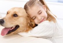 Quả báo hành hạ súc vật